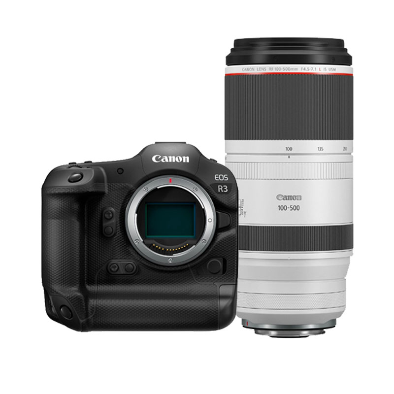 Canon EOS R3 + RF 100-500mm F/4.5-7.1L IS USM