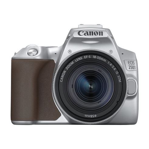 Compliment erfgoed een miljoen Canon EOS 250D zilver + 18-55mm F/4-5.6 IS STM SL - Kamera Express