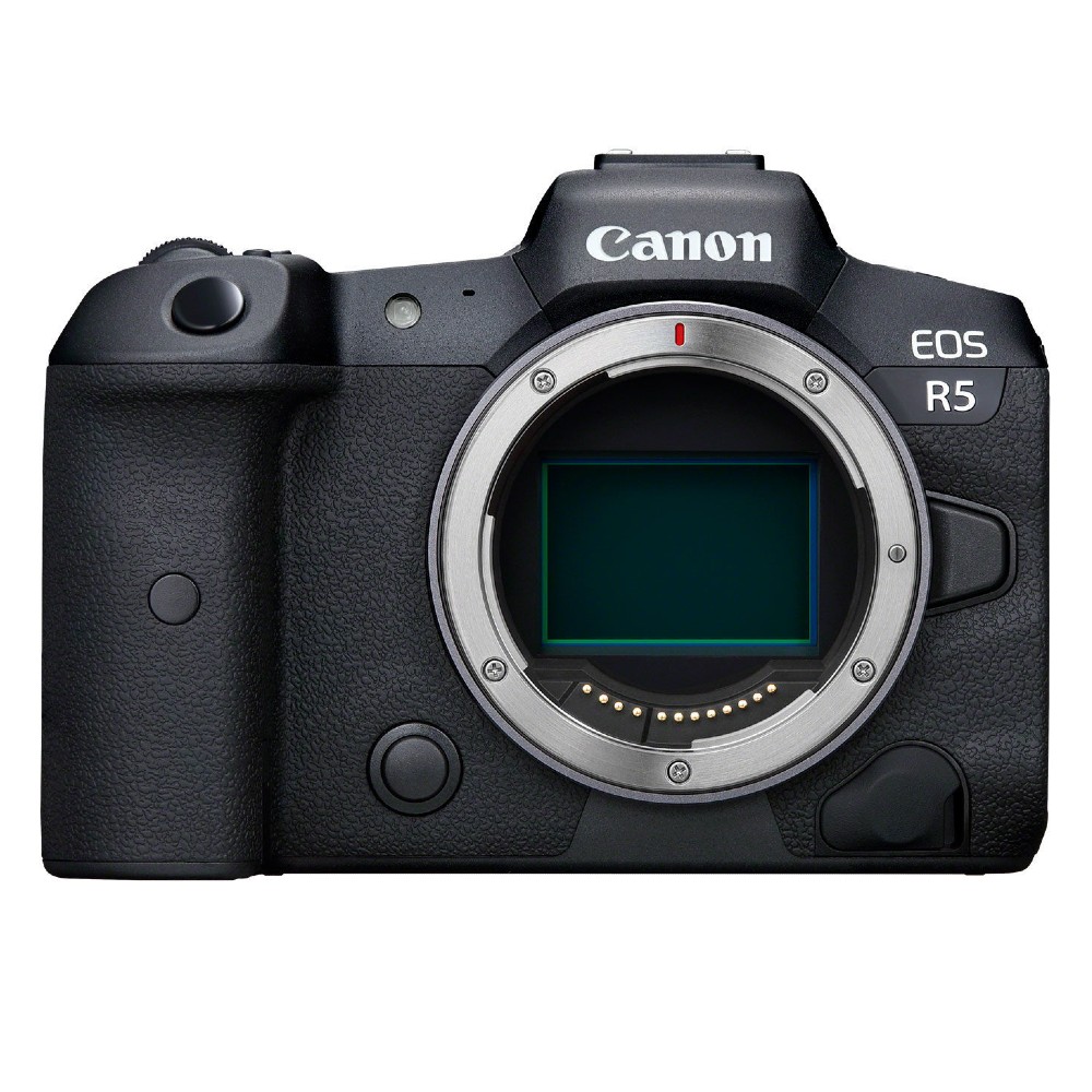 Canon EOS R6 Mirrorless Digital Camera (Body Only) + EXT BATT + 128GB  Bundle 