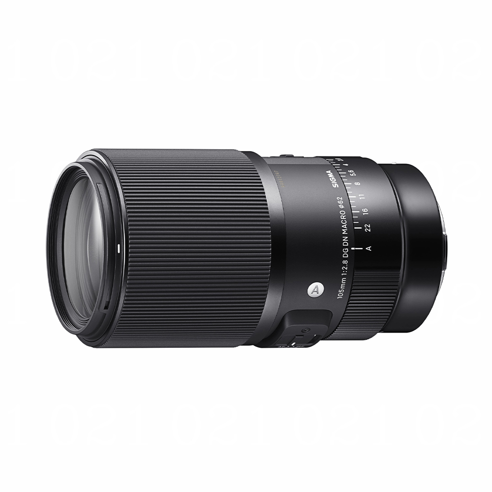 Sigma 105mm F/2.8 DG DN Macro Art | Sony FE-mount