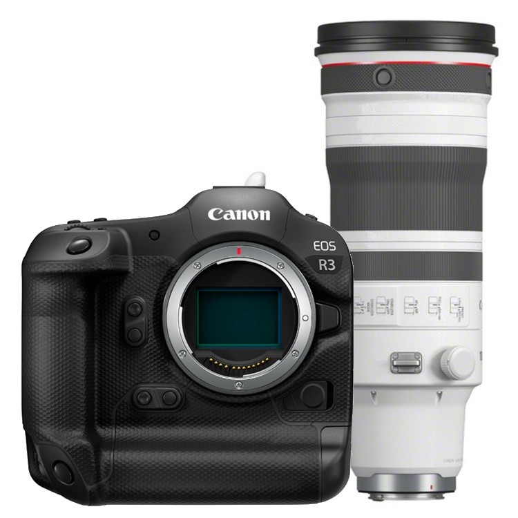 Canon EOS R3 + RF 100-300mm F/2.8L IS USM