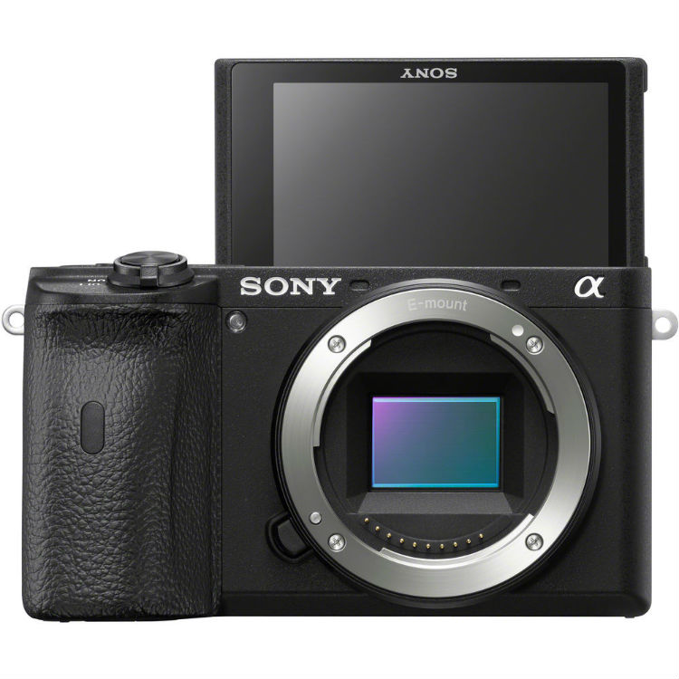 Sony A6600 Camera Body