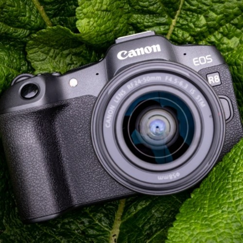 Hier vind je de verschillen tussen de Canon EOS R8, R, RP en 6D II.